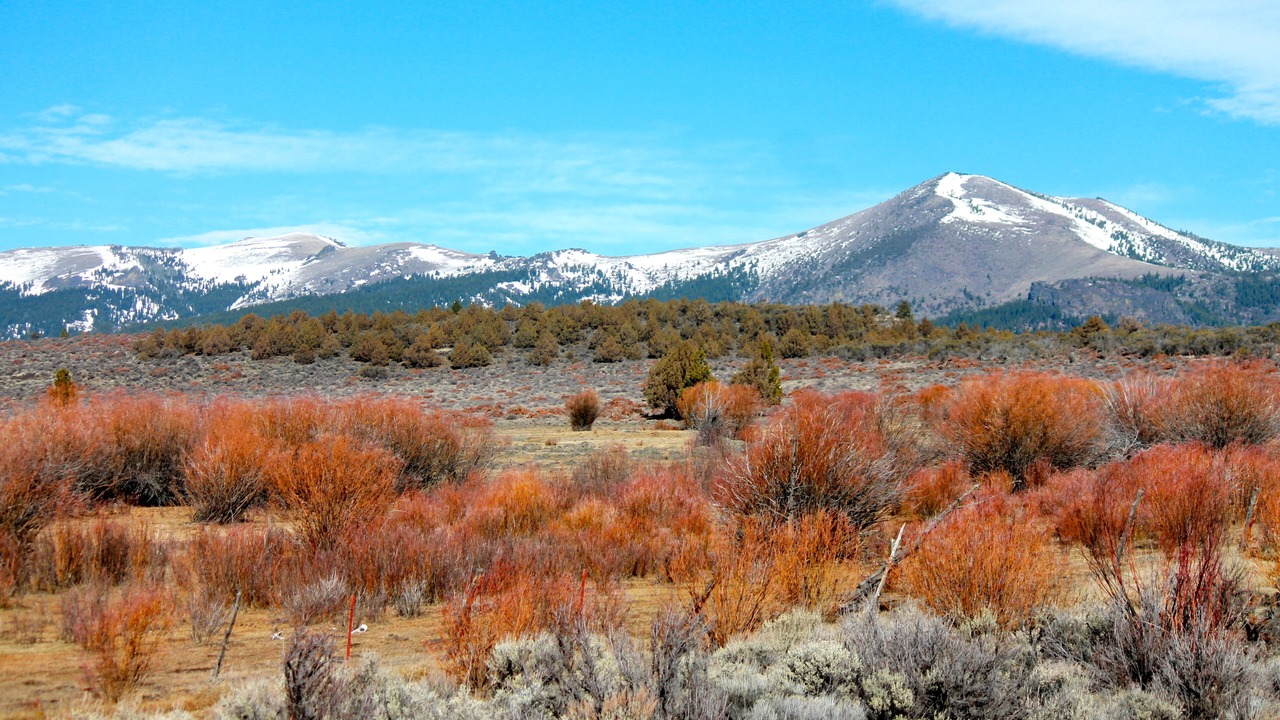 Photo of Others in New Pine Creek