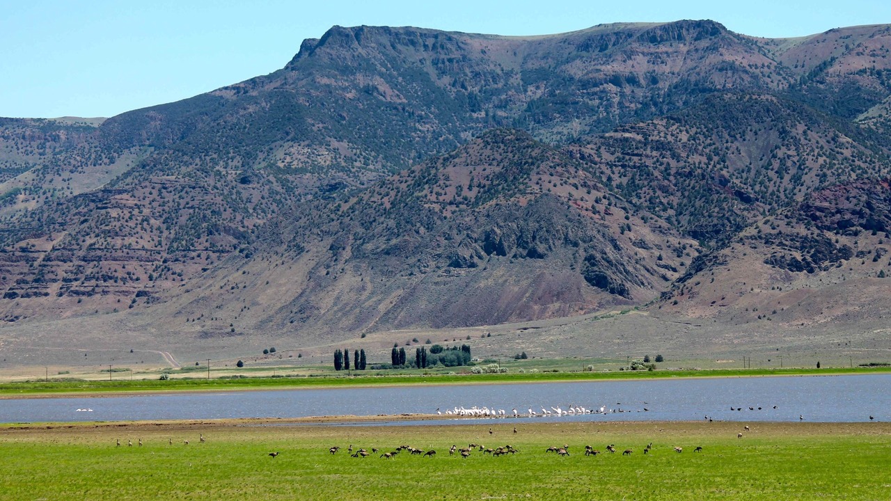 Photo of Outdoor in New Pine Creek