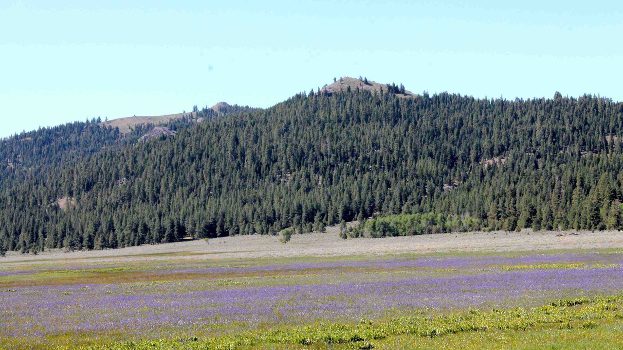 Photo of Others in New Pine Creek