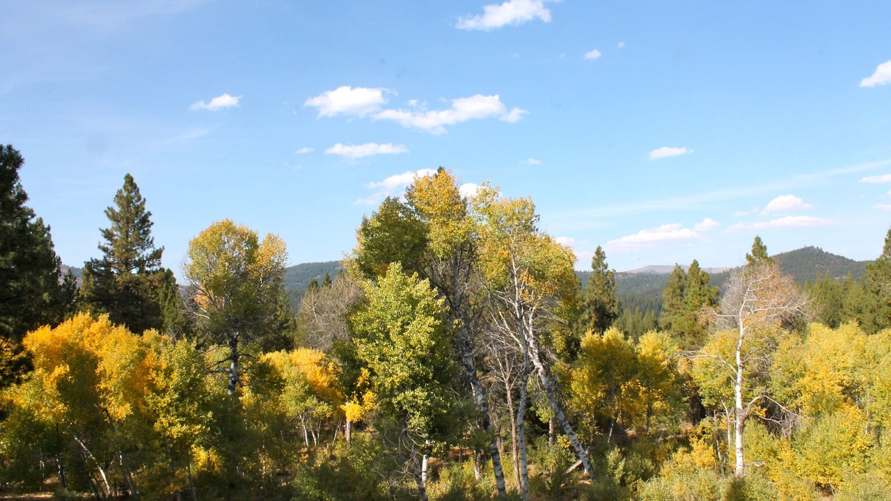 Photo of Others in New Pine Creek
