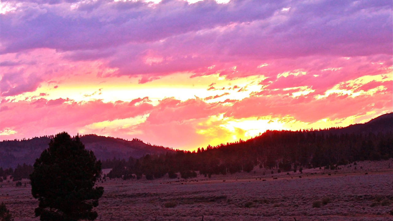 Photo of Others in New Pine Creek