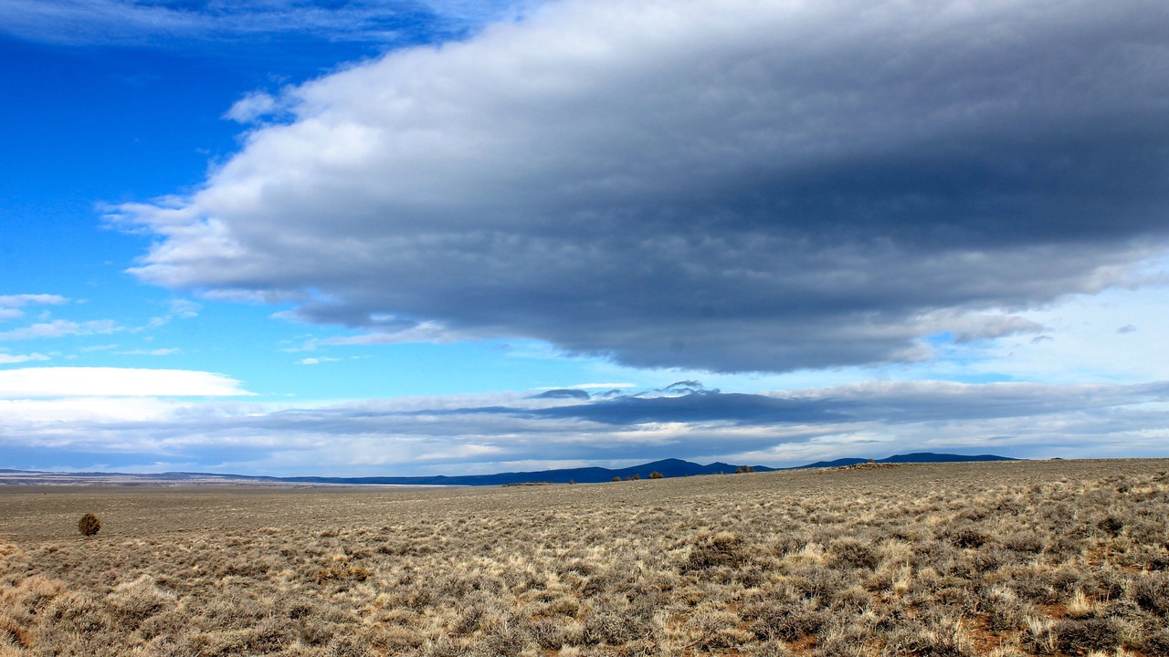 Photo of Others in New Pine Creek
