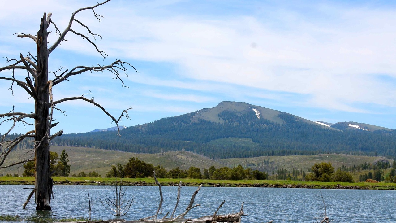 Photo of Outdoor in New Pine Creek