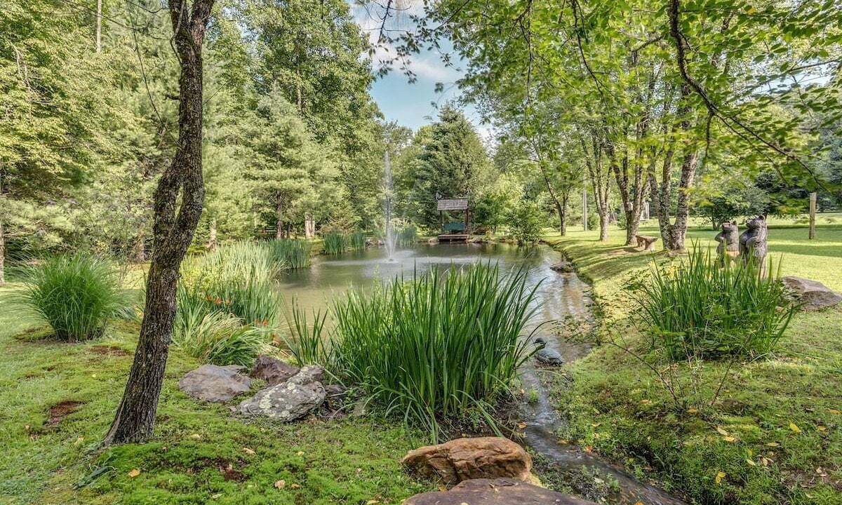 Photo of Outdoor in Ellijay