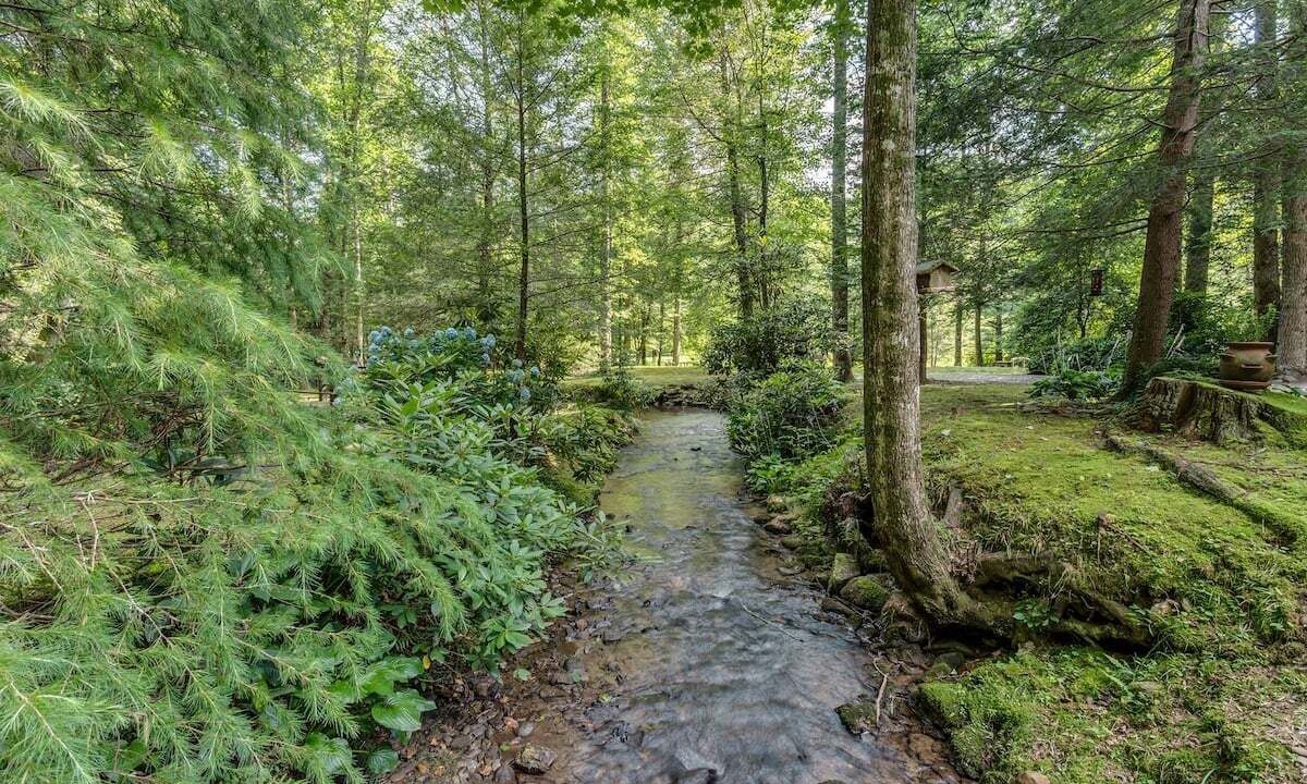 Photo of Others in Ellijay