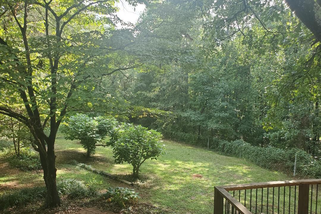 Photo of Others in Bogart