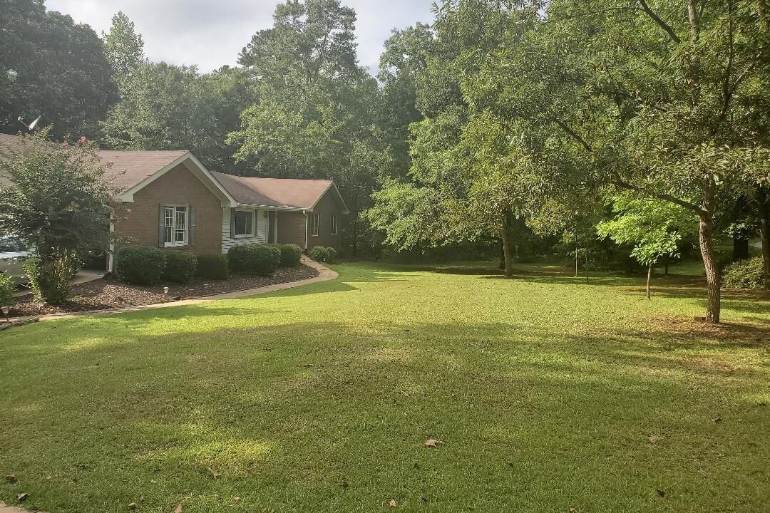 Photo of Others in Bogart