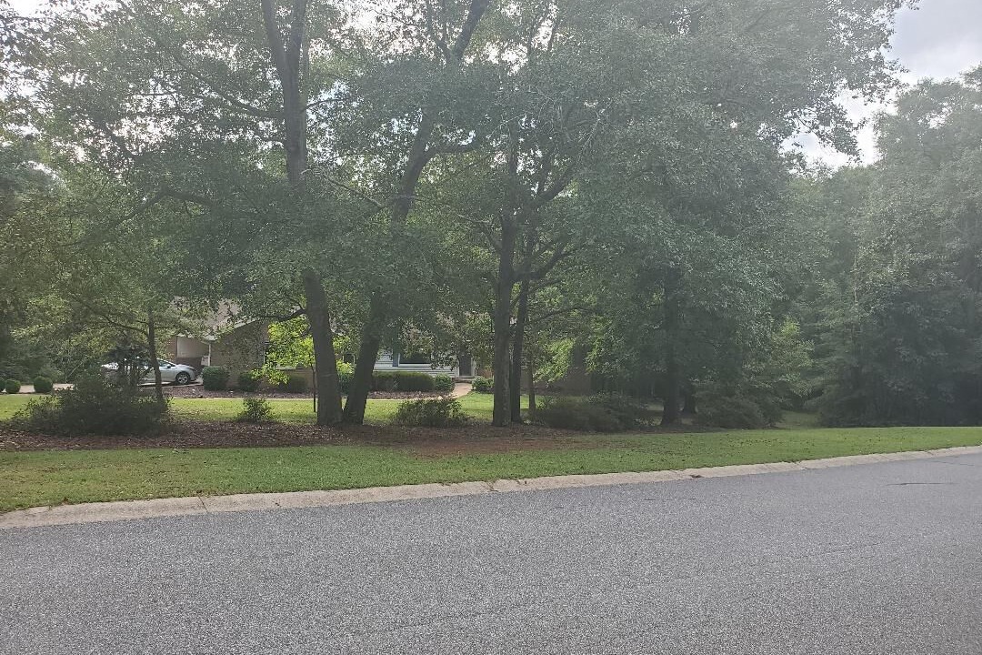 Photo of Outdoor in Bogart