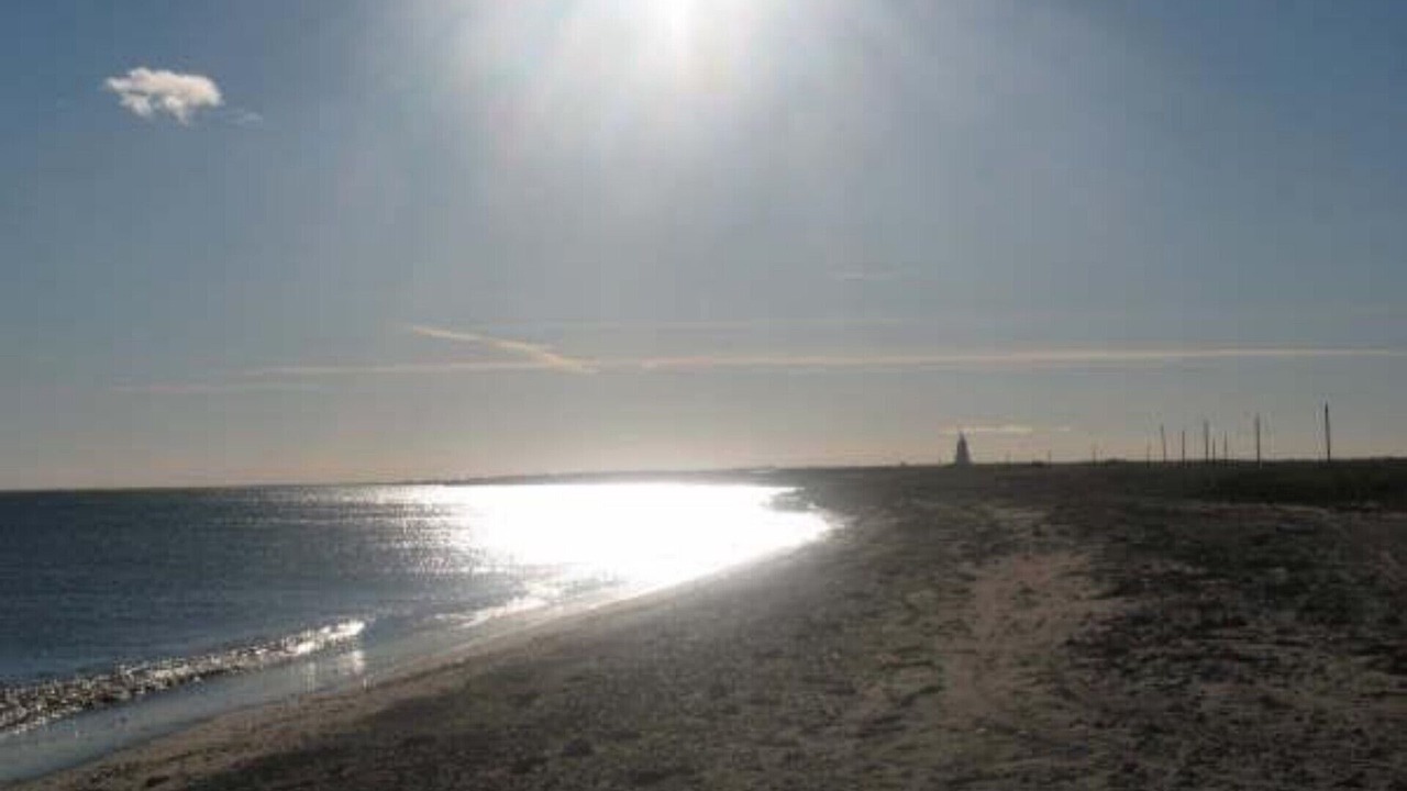 Photo of Others in Chiasson