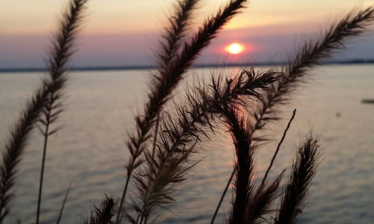 Photo of Outdoor in Alburg