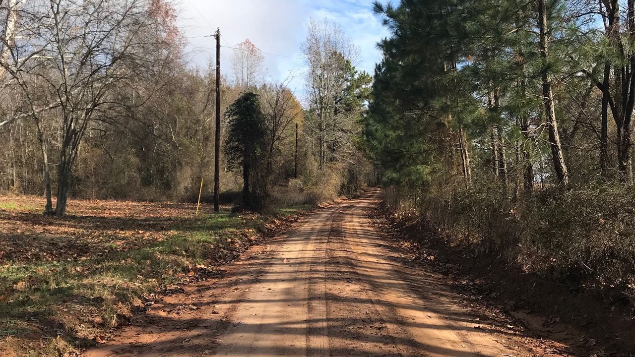 Photo of Others in Nacogdoches
