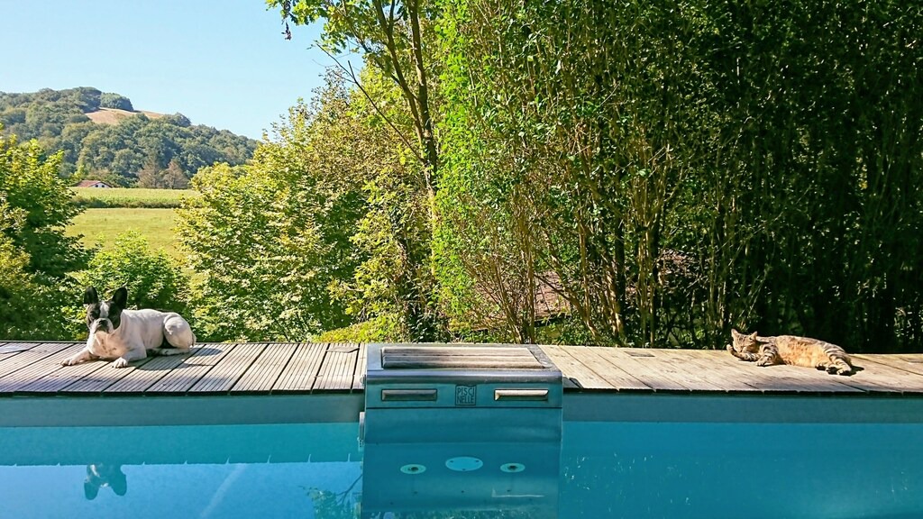 Photo of Others in La Bastide-Clairence