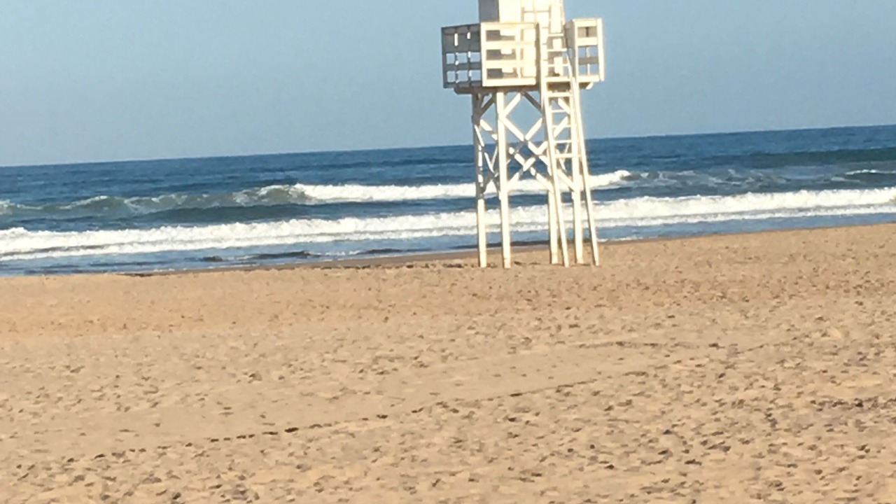 Photo of Others in Gandia