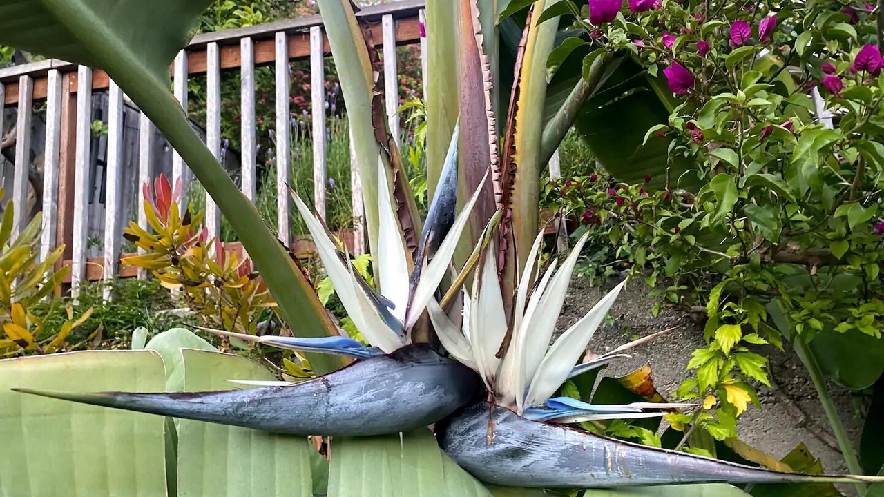 Photo of Outdoor in Potrero Hill