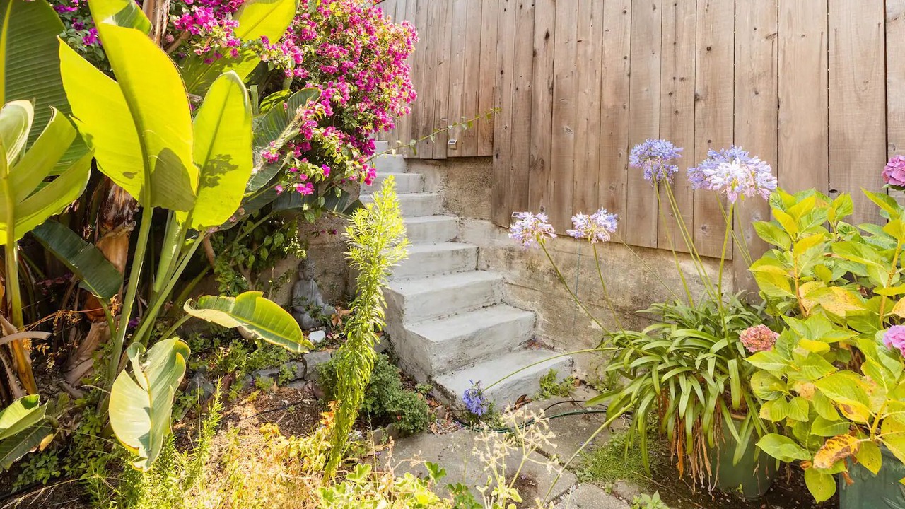 Photo of Outdoor in Potrero Hill