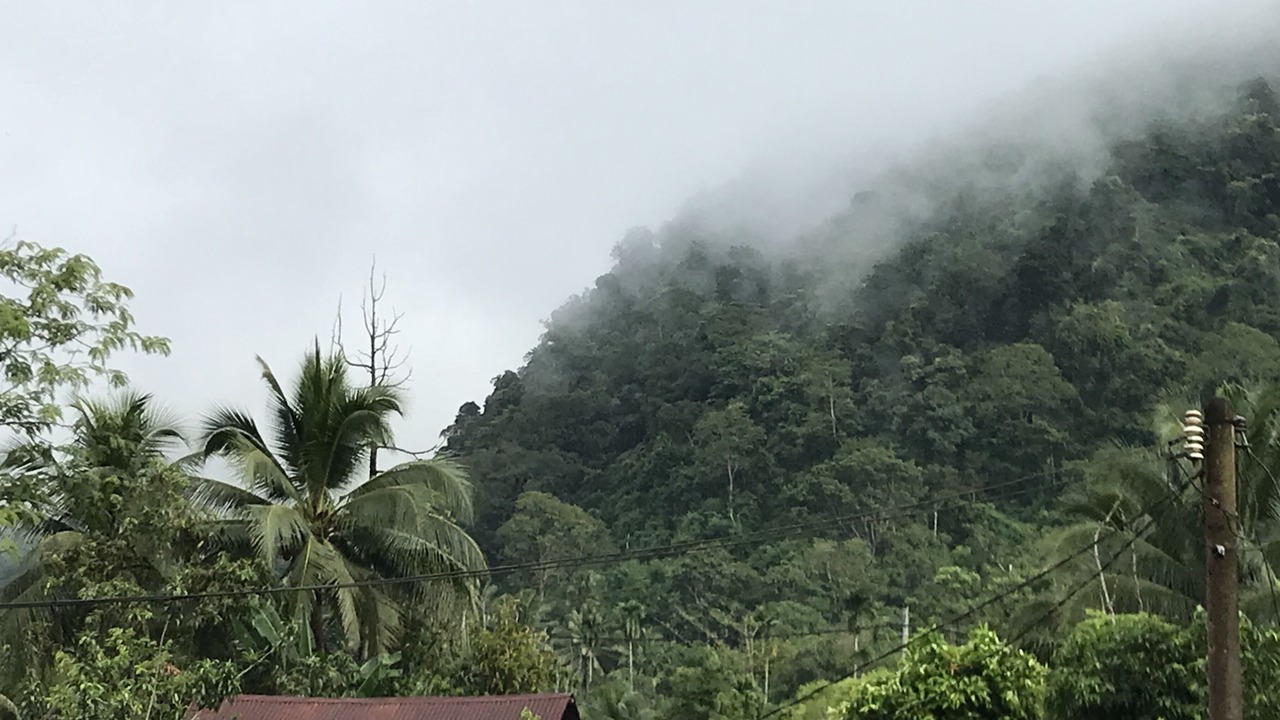 Photo of Outdoor in Lenggong