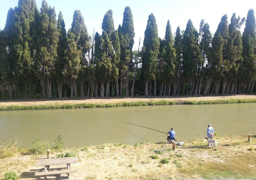 Photo of Outdoor in Marseillette