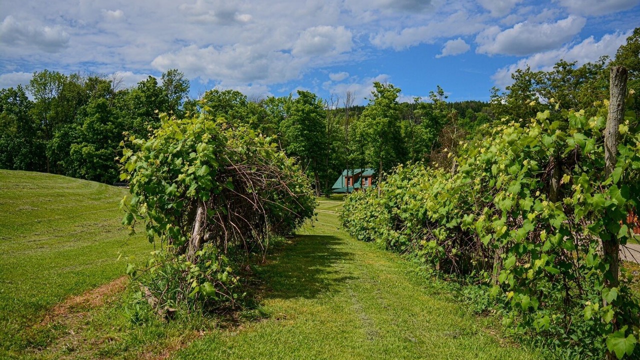 Photo of Outdoor in Jasper