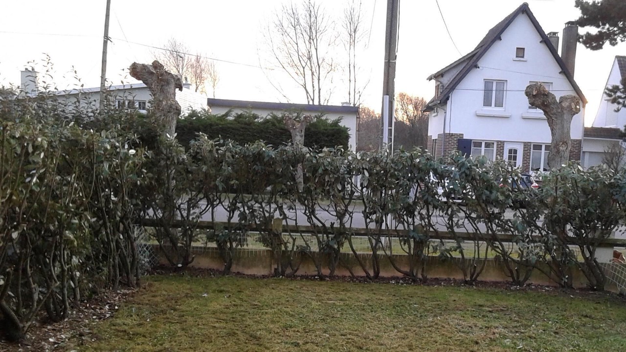 Photo of Outdoor in Stella-Plage