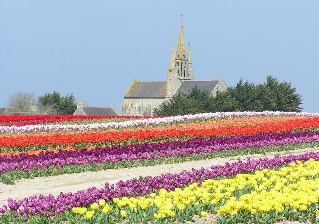 Photo of Outdoor in Tremeoc