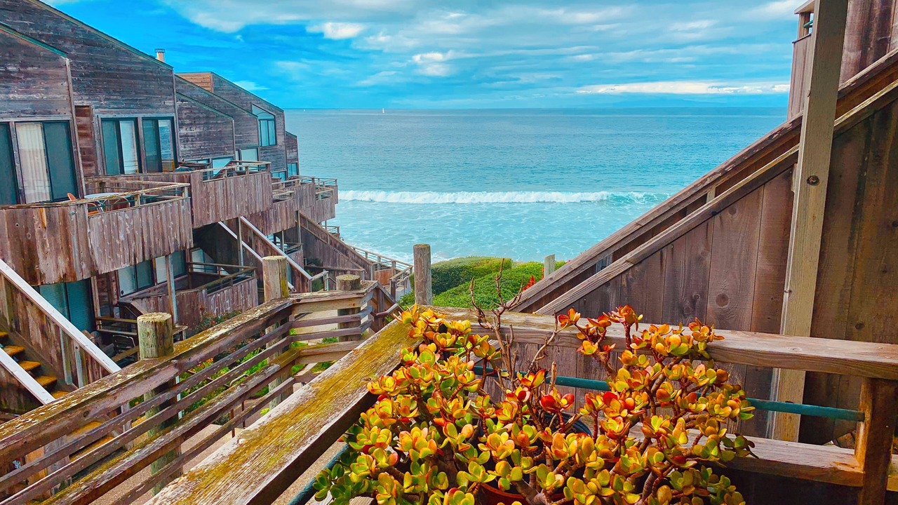 Photo of Outdoor in Monterey