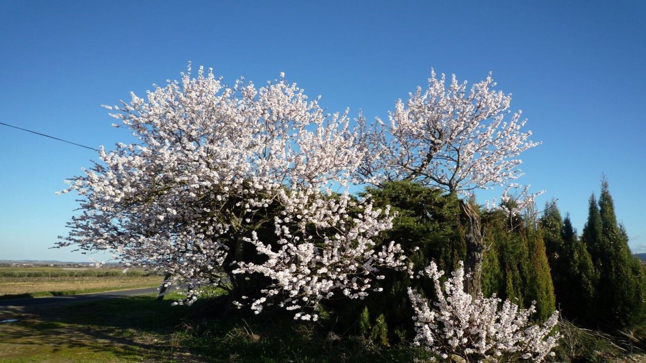 Photo of Outdoor in Marseillette