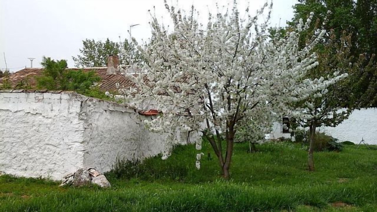 Photo of Outdoor in Villanueva de la Jara