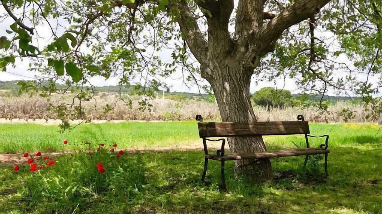 Photo of Outdoor in Villanueva de la Jara