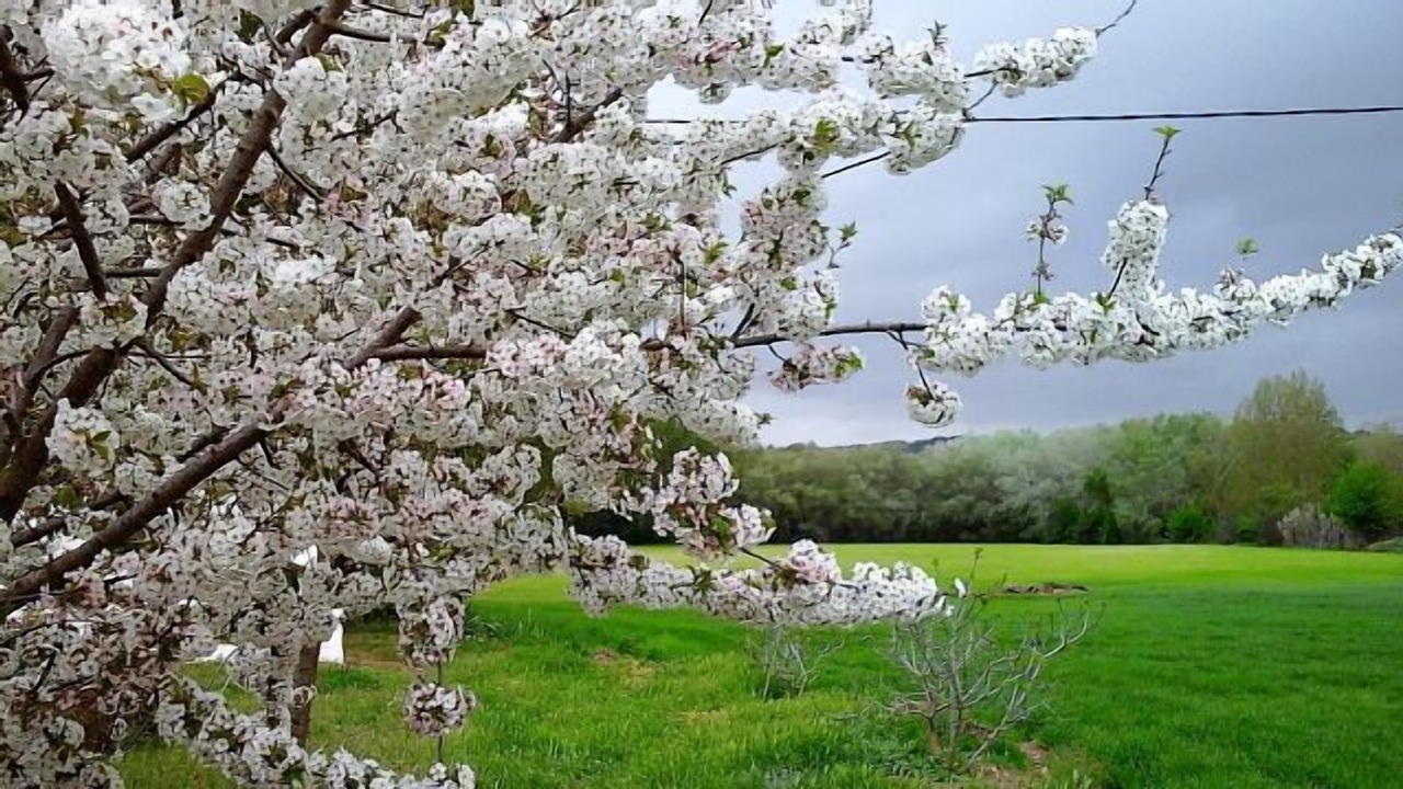 Photo of Outdoor in Villanueva de la Jara