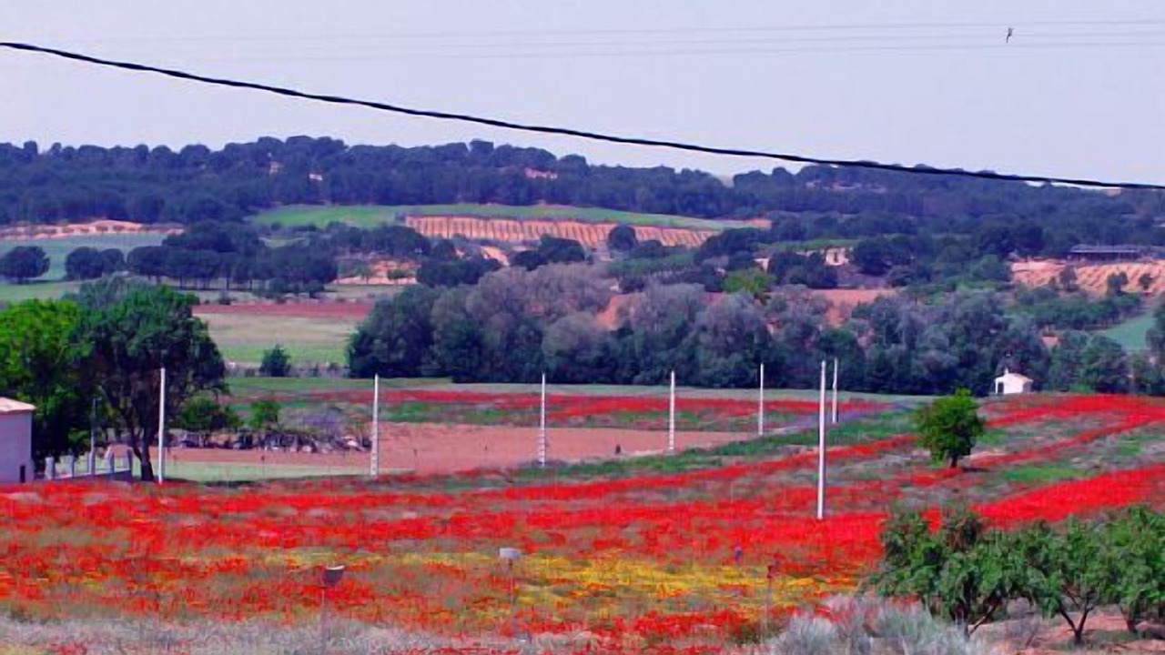 Photo of Others in Villanueva de la Jara