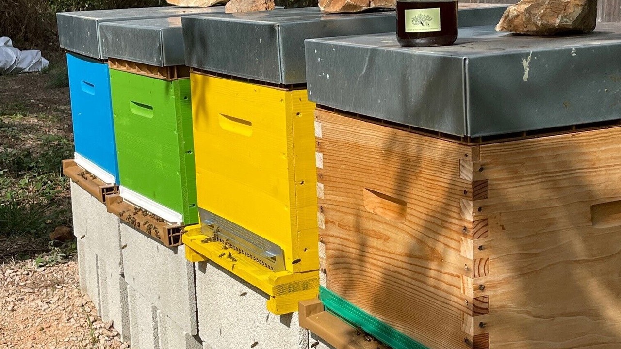 Photo of Outdoor in Saint-Maximin-la-Sainte-Baume