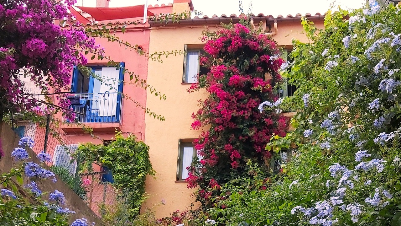 Photo of Outdoor in Collioure