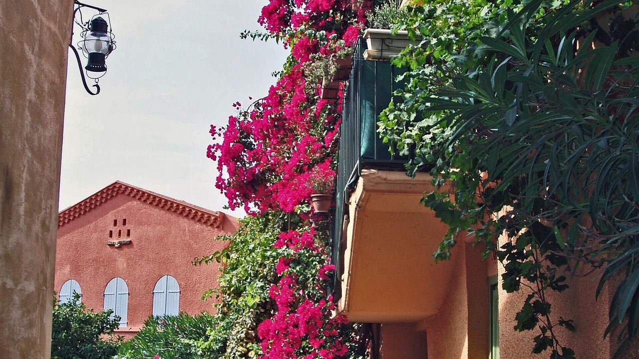 Photo of Outdoor in Collioure
