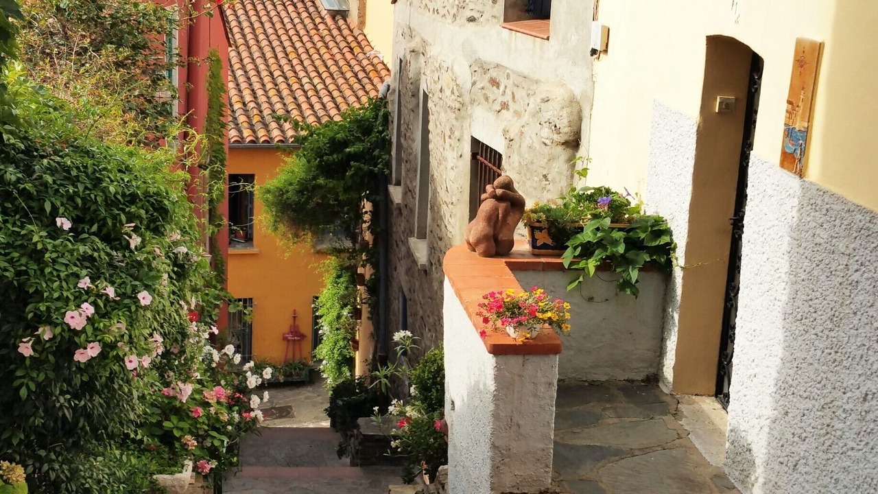 Photo of Outdoor in Collioure