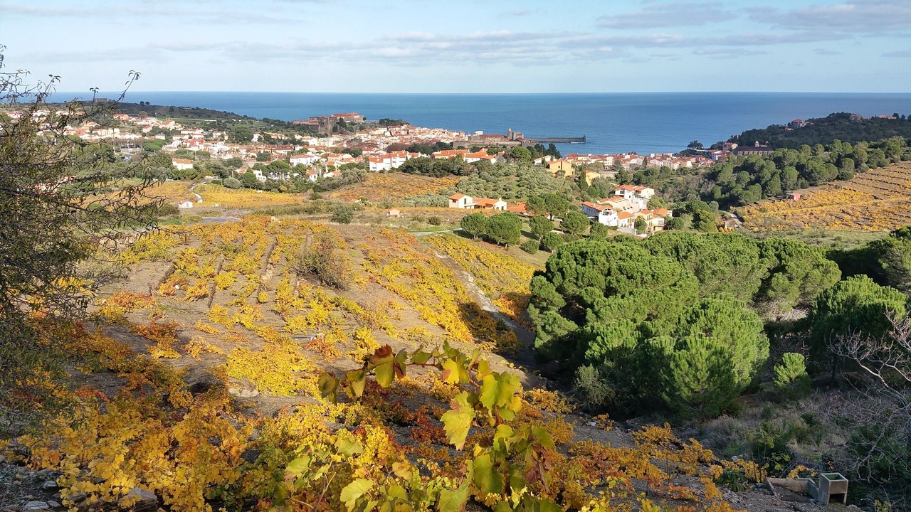 Photo of Outdoor in Collioure