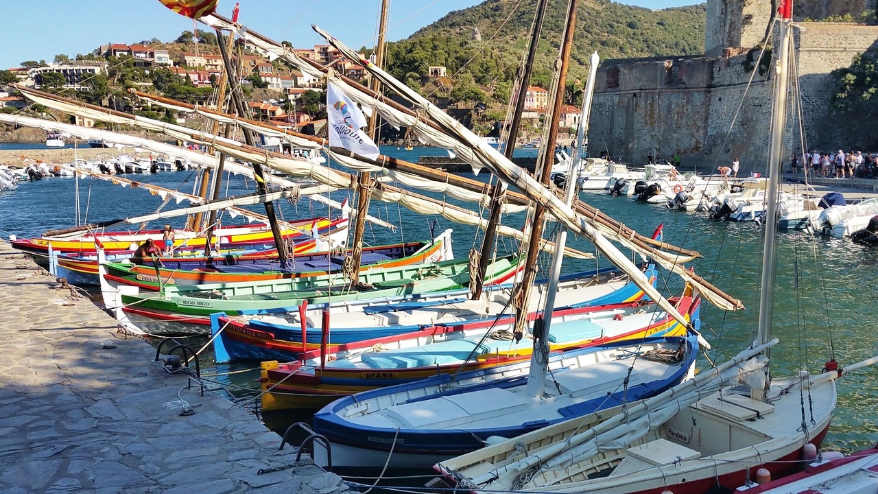 Photo of Others in Collioure