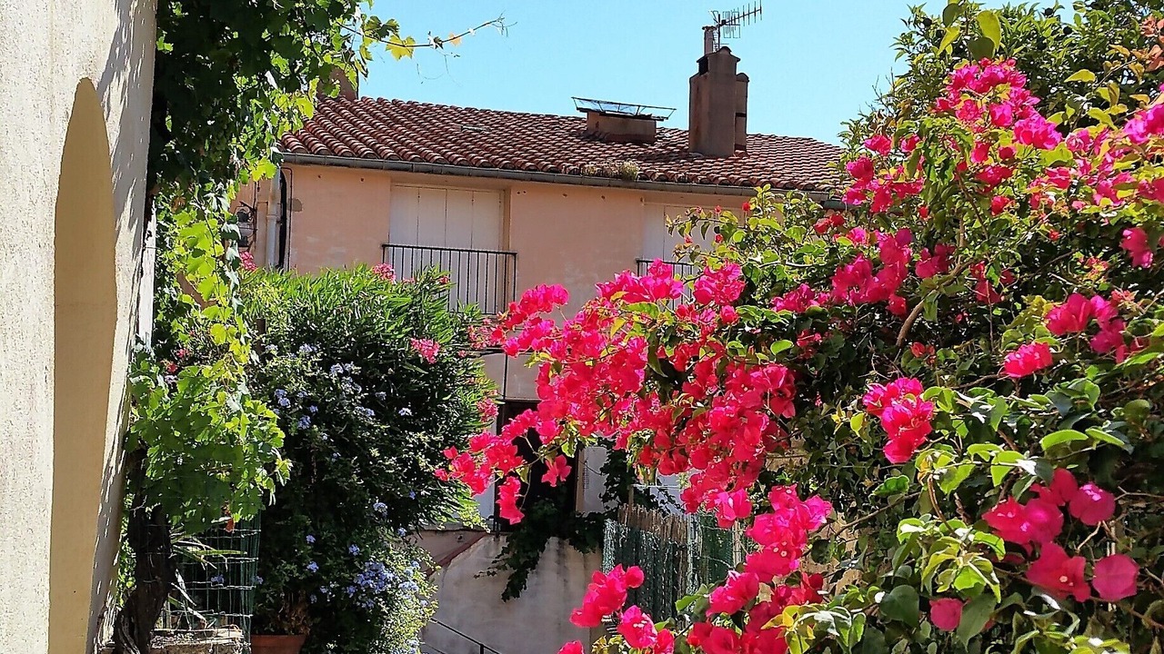 Photo of Outdoor in Collioure