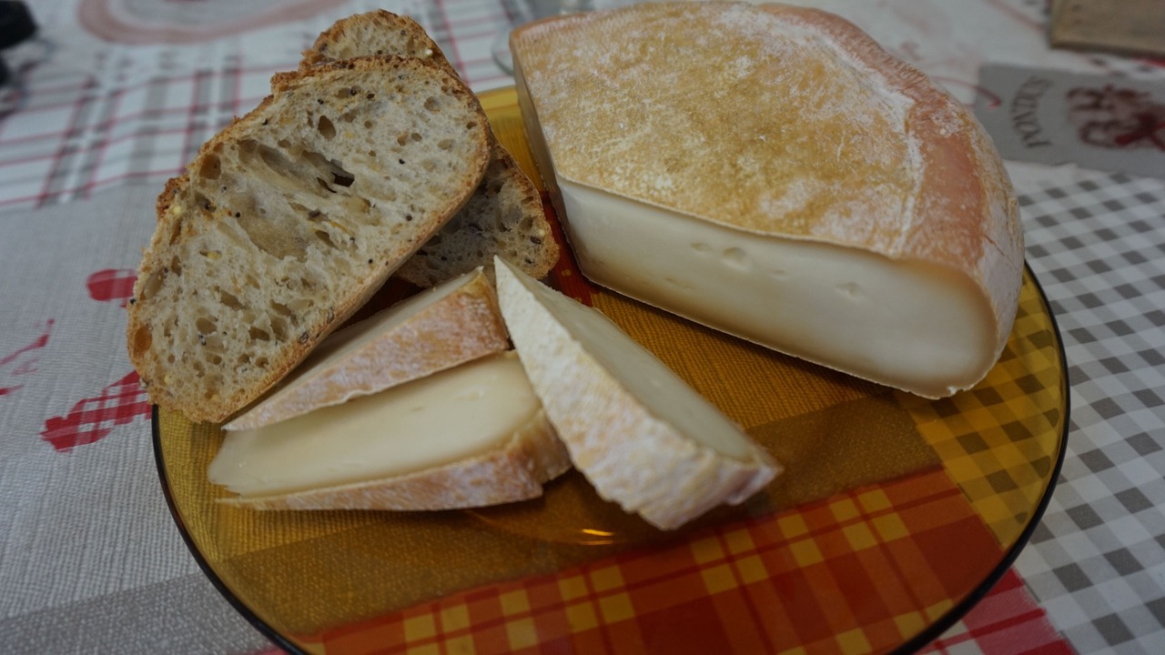 Photo of Others in Escot