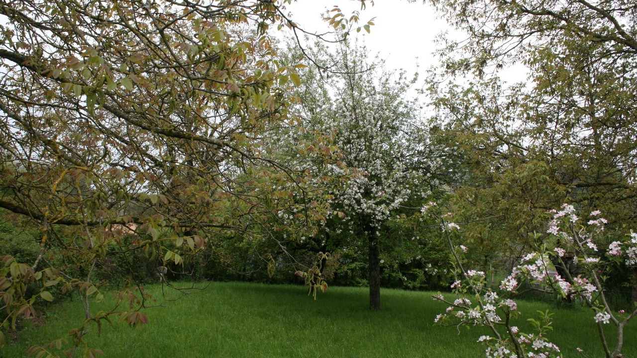 Photo of Outdoor in Villette-sur-Ain