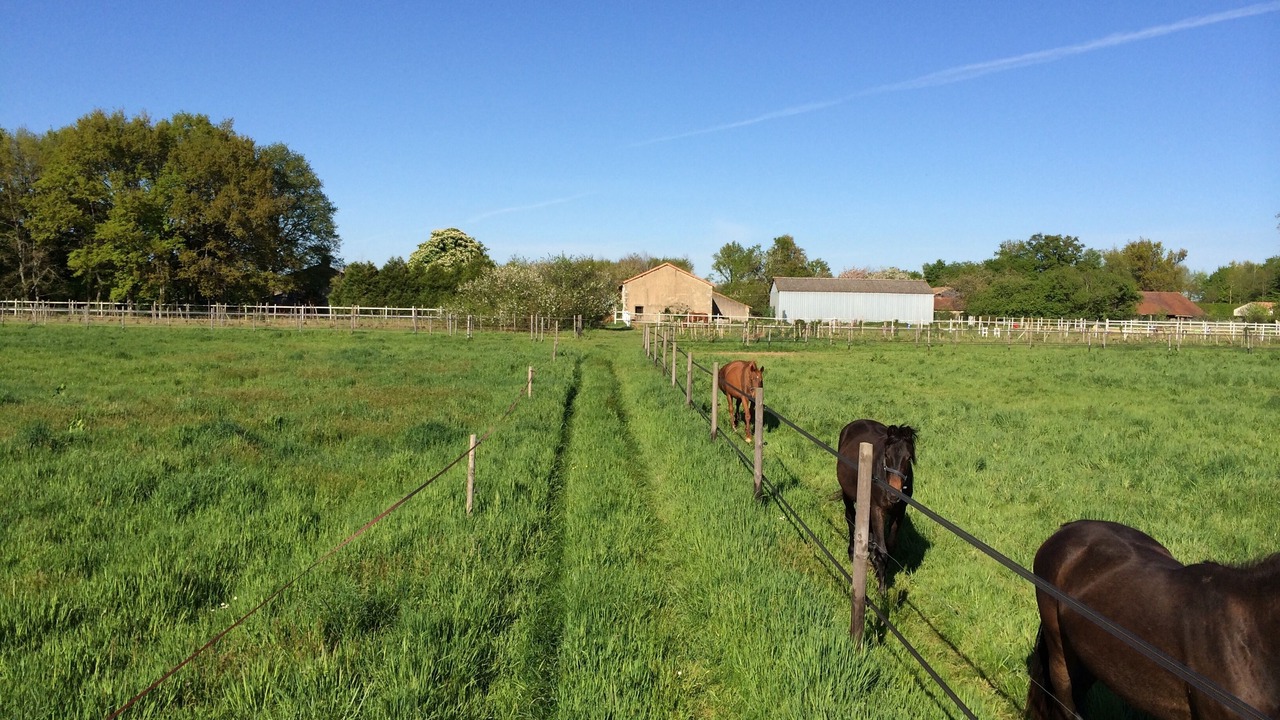 Photo of Outdoor in Montalembert
