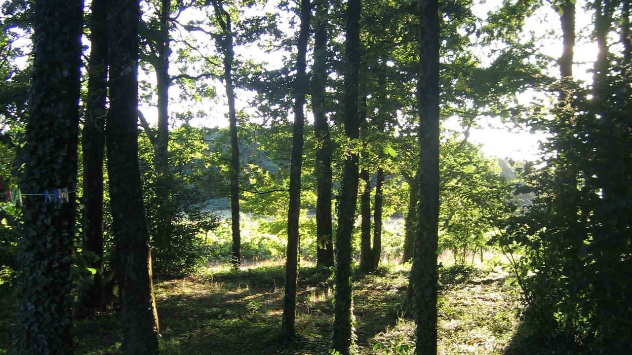 Photo of Outdoor in Montalembert