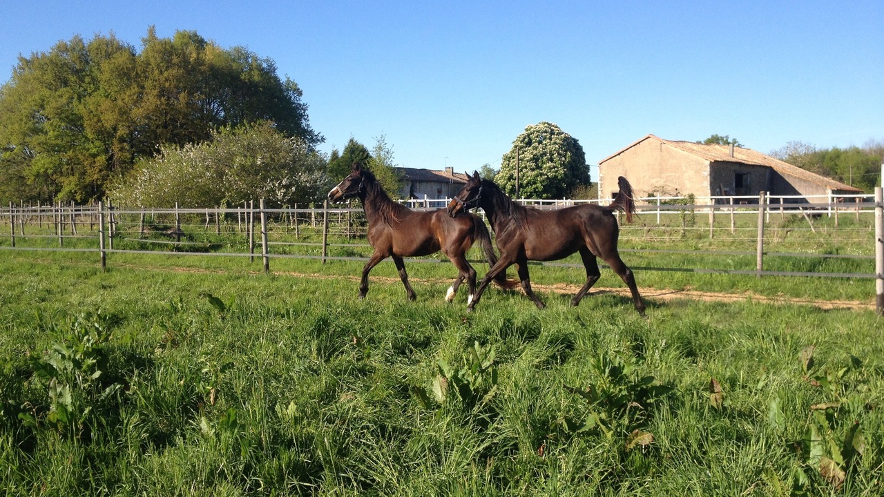 Photo of Outdoor in Montalembert