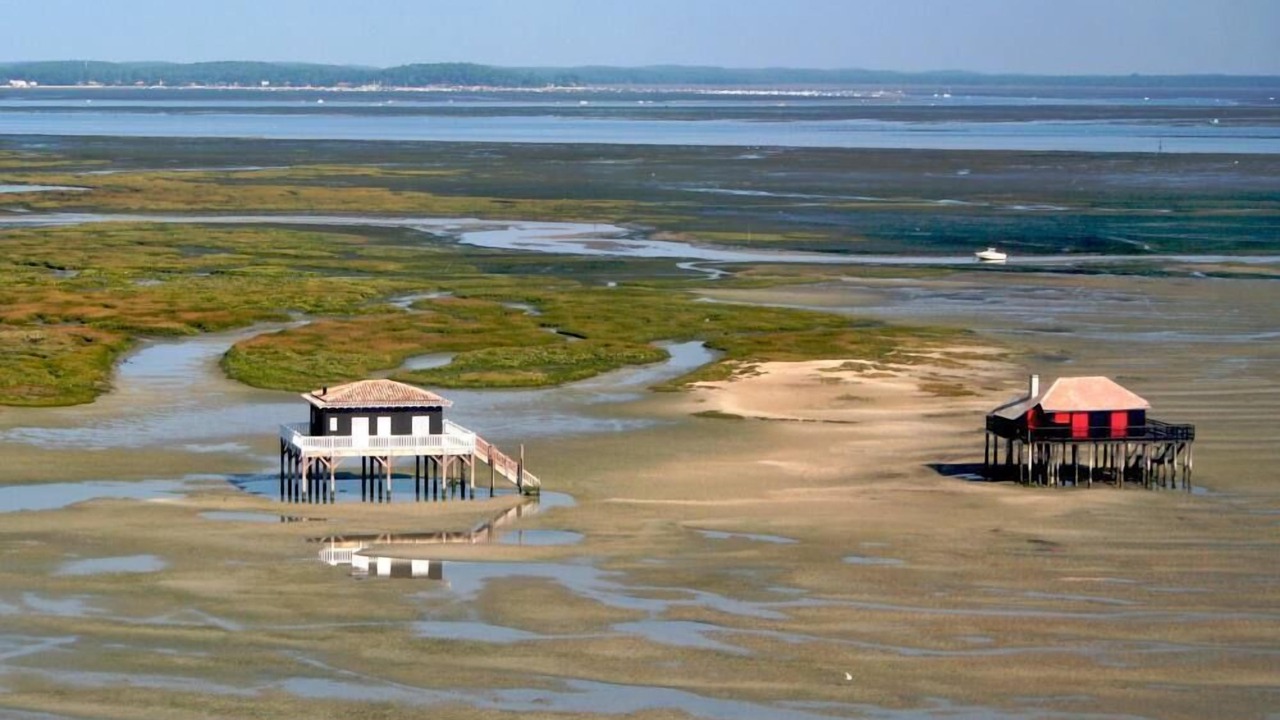 Photo of Others in Le Temple