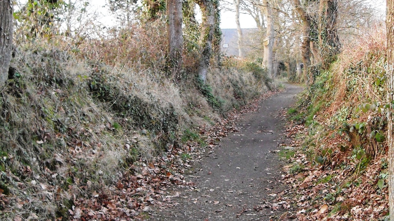 Photo of Outdoor in Lannion