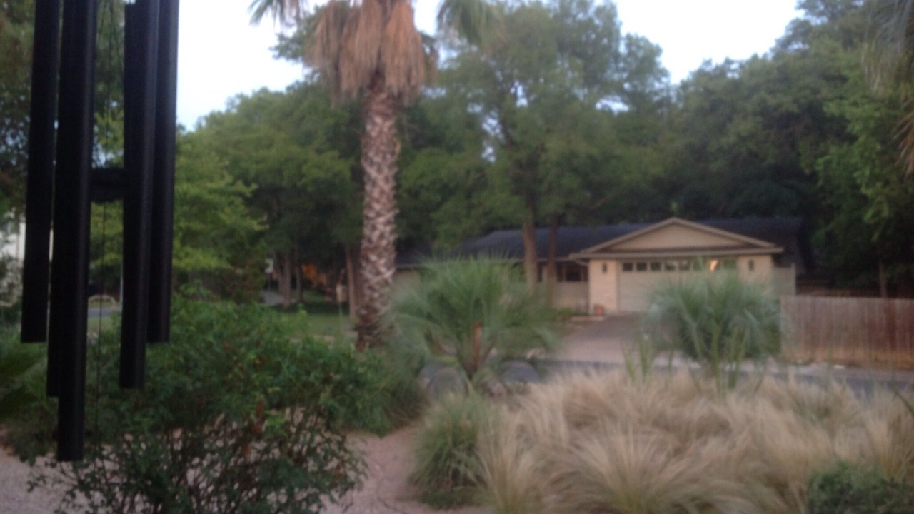 Photo of Outdoor in Barton Hills