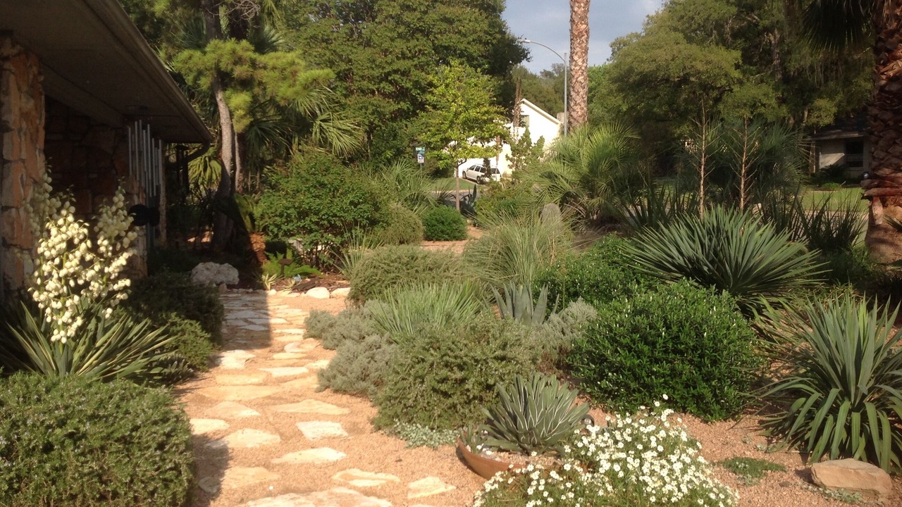 Photo of Outdoor in Barton Hills