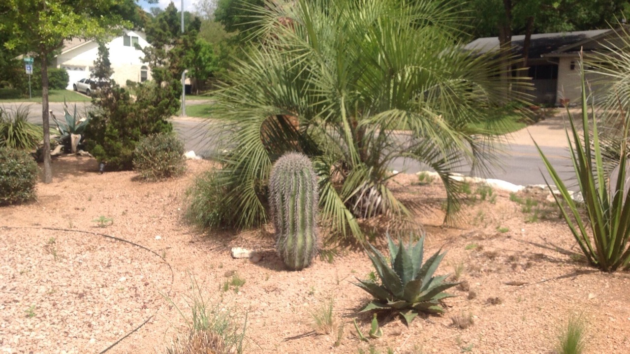 Photo of Outdoor in Barton Hills