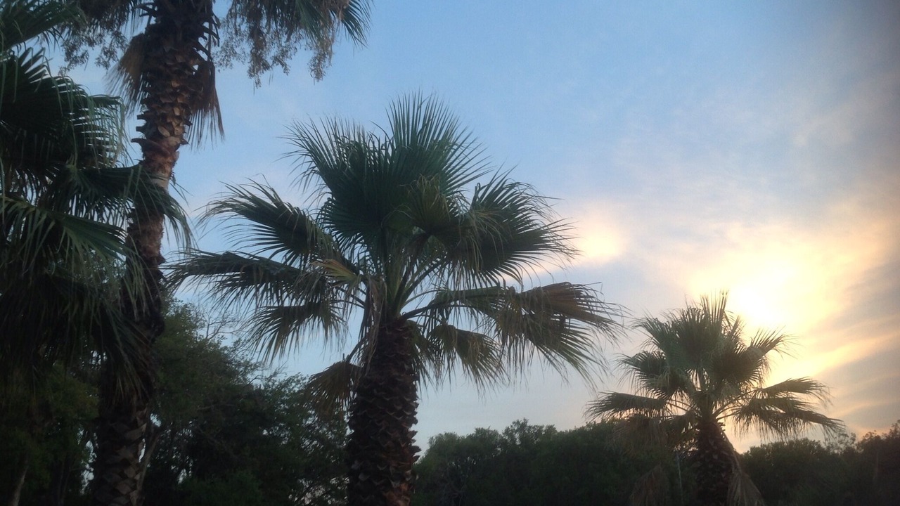 Photo of Outdoor in Barton Hills