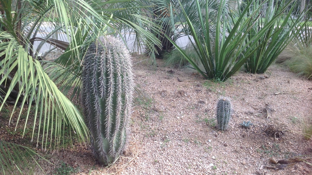 Photo of Outdoor in Barton Hills
