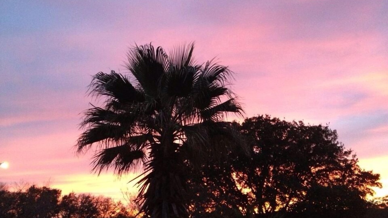 Photo of Outdoor in Barton Hills